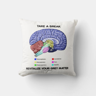Coussin Prenez Une Pause Revitalisez Votre Cerveau En Mati