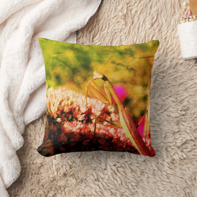 Coussin Prier Mantis Sur Sedum Fleur Abstrait Grunge (Couverture)