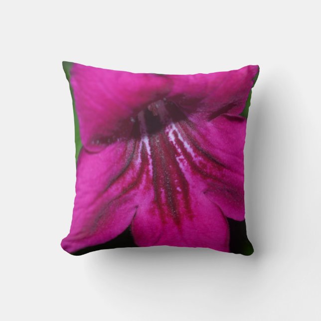Coussin Primevère de fuchsia de roses indien (Recto)