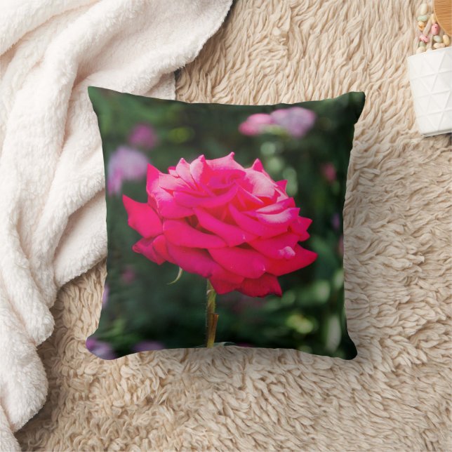 Coussin Profil des pétales de rose rouge (Couverture)