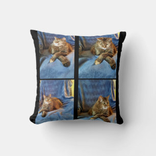 COUSSIN PROFONDE DANS LA CUISINE PENSÉE