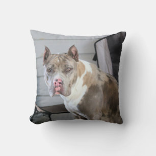 Coussin Puce