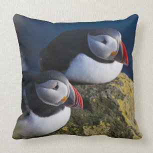 Coussin Puffin atlantique (Fratercula arctica) 7