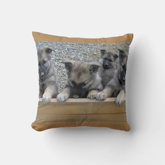 Coussin Puppies de Norvège (Recto)