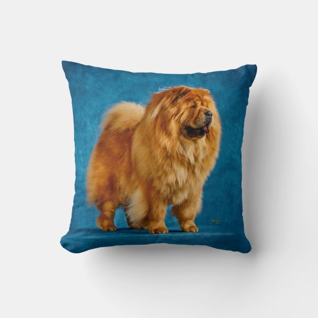 Coussin Quahrma Chow (Recto)