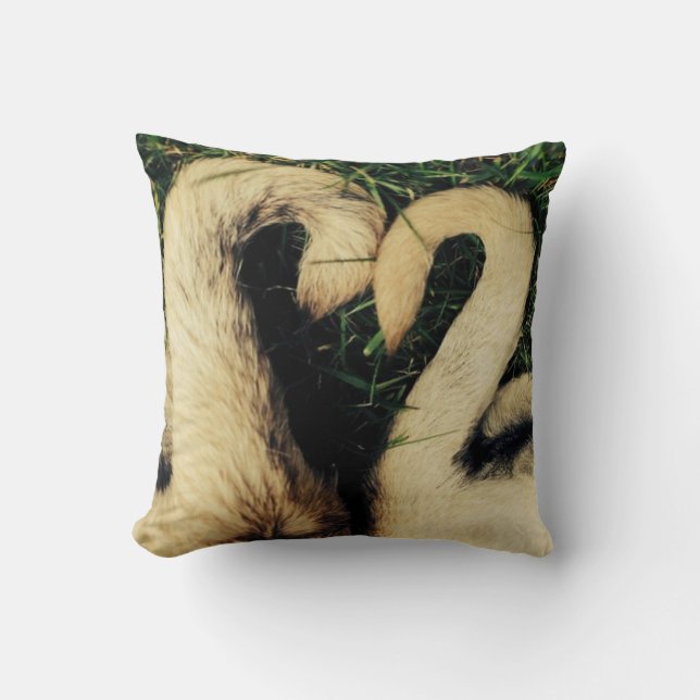 Coussin Queues de carlin (Recto)