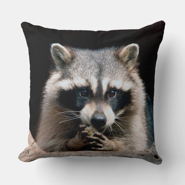 Coussin Raccoon 004 (Recto)