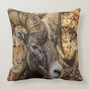 Coussin RAM de Big Horn