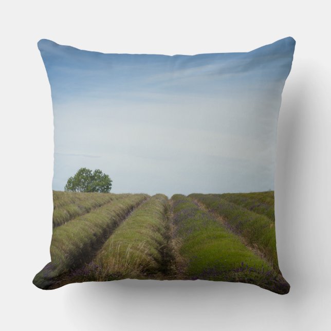 Coussin Rangées de lavande après carreau de récolte (Recto)