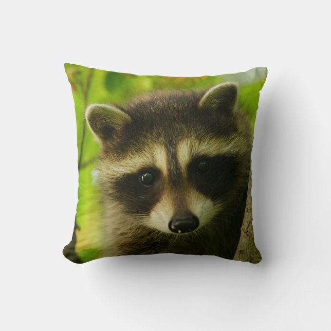 Coussin raton laveur (Recto)