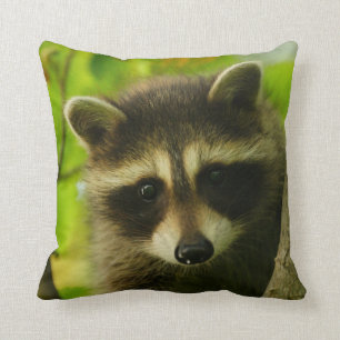 Coussin raton laveur
