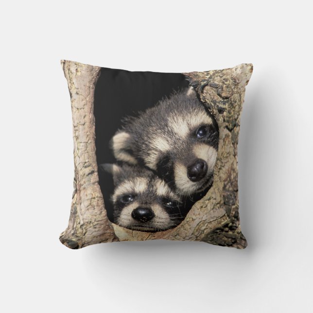 Coussin Ratons laveurs dans la cavité de l'arbre Procyon (Recto)