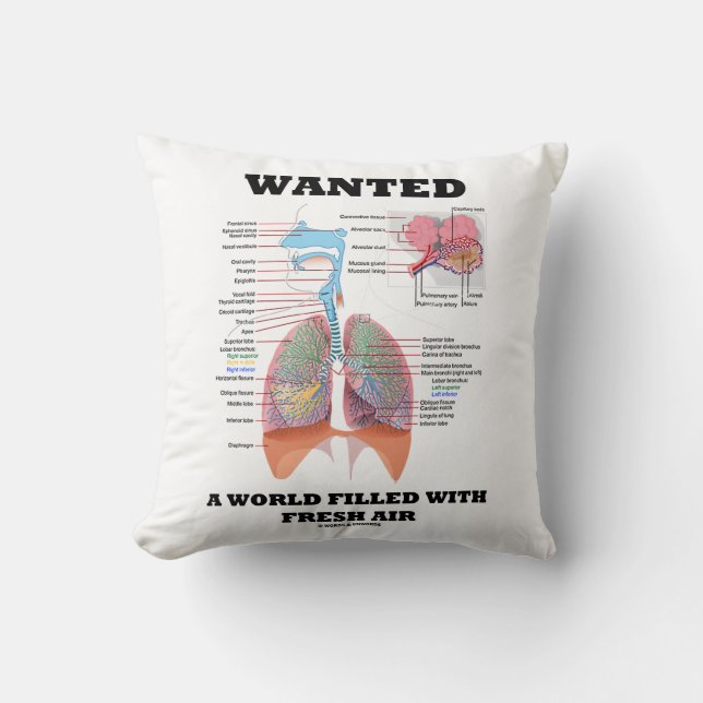 Coussin Recherché Un Monde Rempli D'Air Frais Respiratoire (Recto)