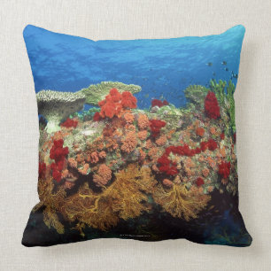 Coussin Récif pittoresque des coraux durs, coraux mous
