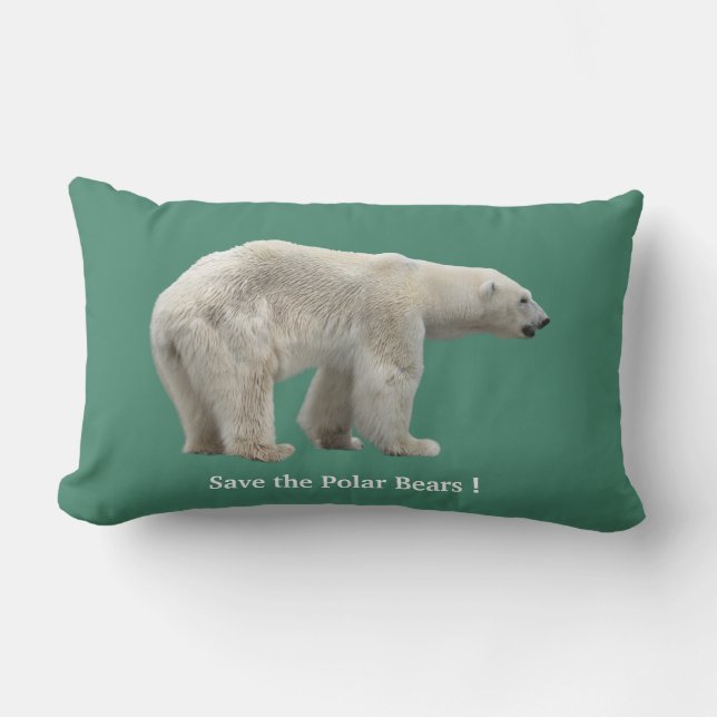 COUSSIN RECTANGLE 北極熊 (Recto)