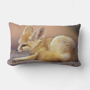 Coussin Rectangle Afrique du Nord. Fennec Fennecus zerda)