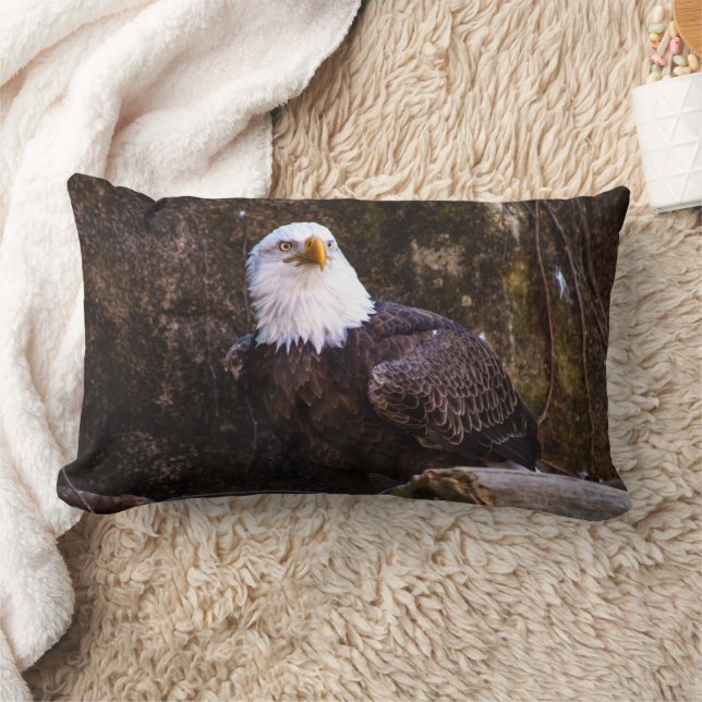 Coussin Rectangle Aigle de Bald (Couverture)