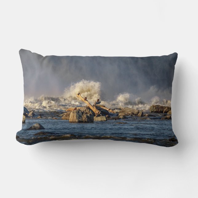 Coussin Rectangle Aigles Et Eau Brute (Recto)