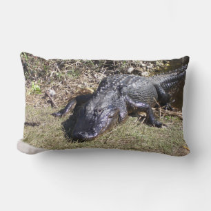 Coussin Rectangle Alligator des Everglades au repos dans une lumière