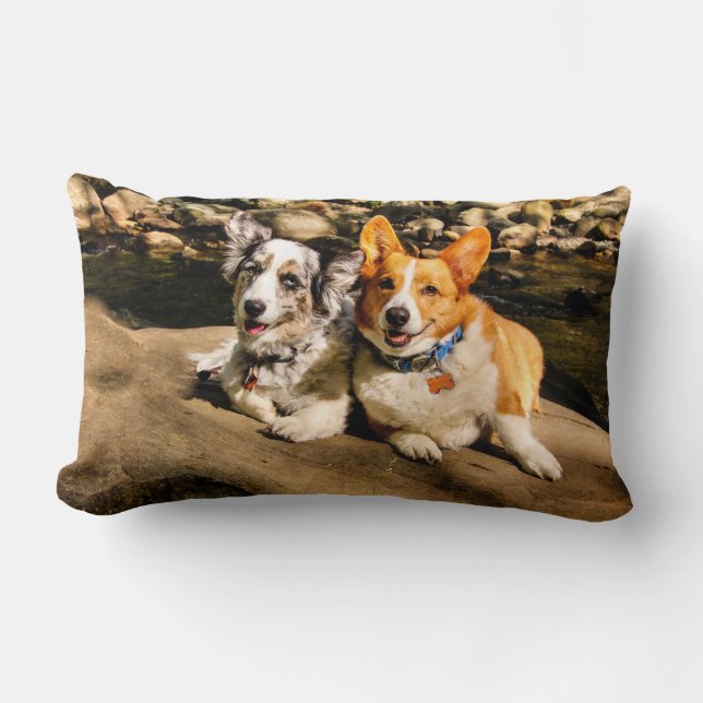 Coussin Rectangle Amants de corgi (Recto)