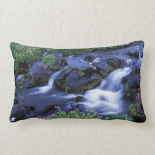 Coussin Rectangle Amérique du Nord, États-Unis, Washington, Mt Raini