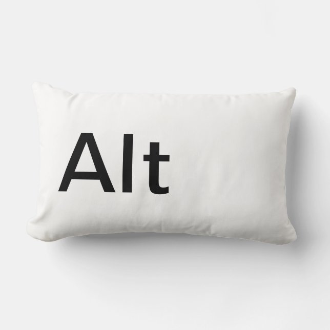 Coussin Rectangle Amusement Google Apple Mac Facebook Squidoo Ebay (Recto)