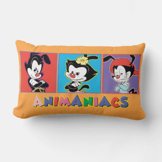 Coussin Rectangle Animaniacs | Graphique de panneau Yakko, Dot et Wa