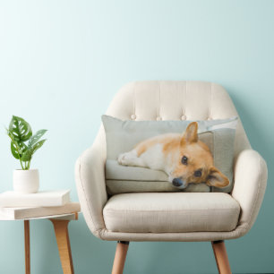 Coussin Rectangle Animaux de bébés cutest Chiot de Corgi sur canap