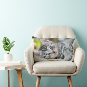 Coussin Rectangle Animaux de bébés cutest   Kitten aux yeux bleus