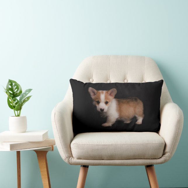 Coussin Rectangle Animaux de bébés cutest | Tiny Corgi (Chaise)
