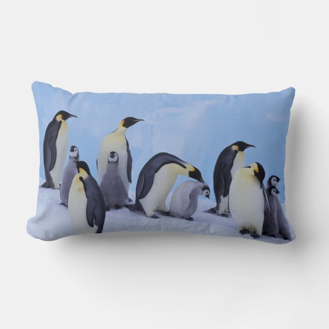 Coussin Rectangle Antarctique, Emporer Penguins (Recto)