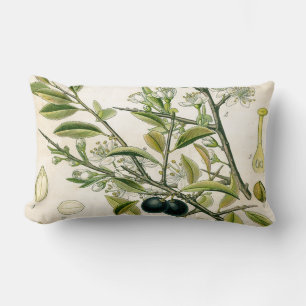 Coussin Rectangle Antique Blackthorn Botanique Imprimé Fleur Berry