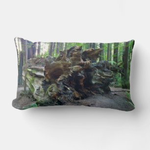 Coussin Rectangle Arbre séquestre géant tombé