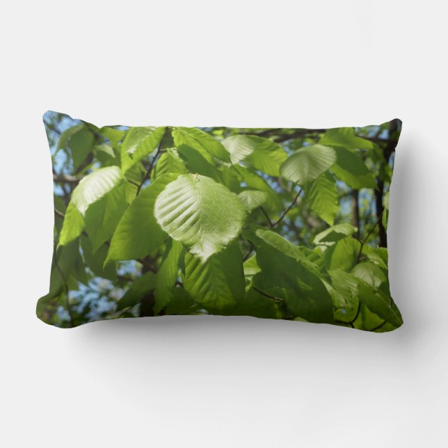 Coussin Rectangle Arbre vert Feuille à bouleau printanier (Recto)