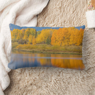 Coussin Rectangle Arbres d'Aspen couleur d'automne