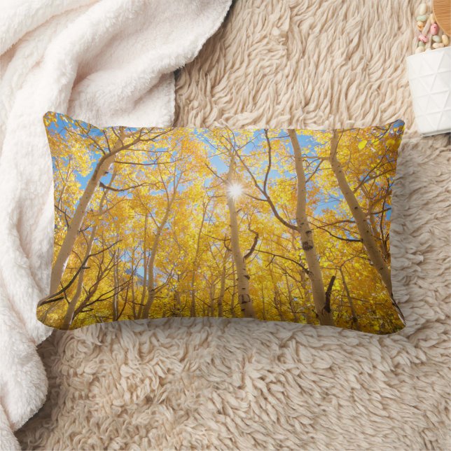 Coussin Rectangle Arbres d'Aspen | Sierra Nevada Mountains, CA (Couverture)