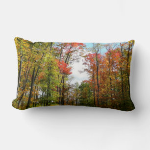 Coussin Rectangle Arbres d'automne et ciel bleu Photographie de la n