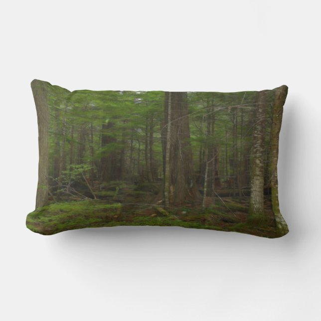 Coussin Rectangle Arbres, Green Forest Jour des terres Nature Art (Recto)