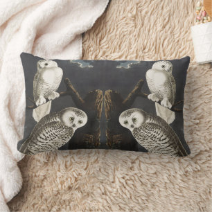 Coussin Rectangle Art ancien d'oiseau de nuit, chouette blanche d'Au