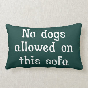 Coussin Rectangle Aucun chien autorisé sur ce canapé