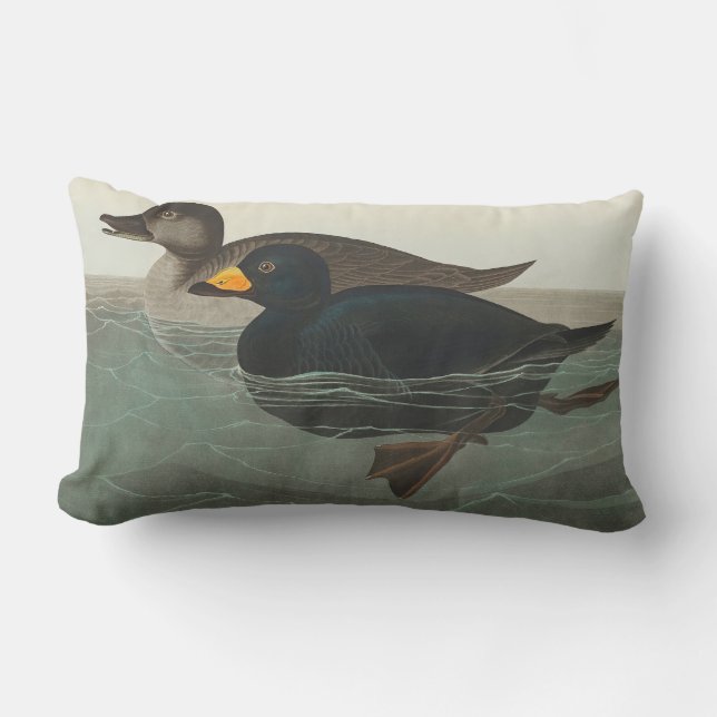 Coussin Rectangle Audubon American Scoter Duck Classic (Recto)