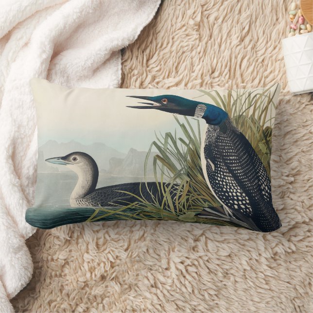 Coussin Rectangle Audubon Bird Loon Diver Classic (Couverture)