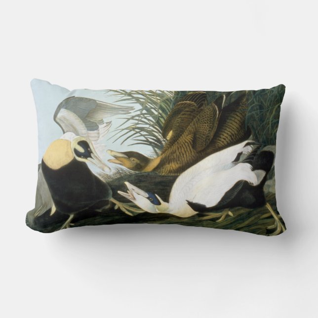Coussin Rectangle Audubon : Canard d'Eider (Recto)