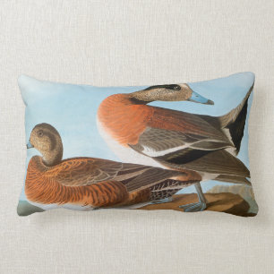 Coussin Rectangle Audubon : Canard siffleur