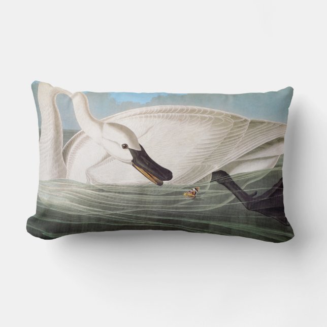 Coussin Rectangle Audubon : Cygne de trompettiste (Recto)
