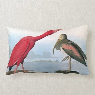 Coussin Rectangle Audubon : Écarlate IBIS