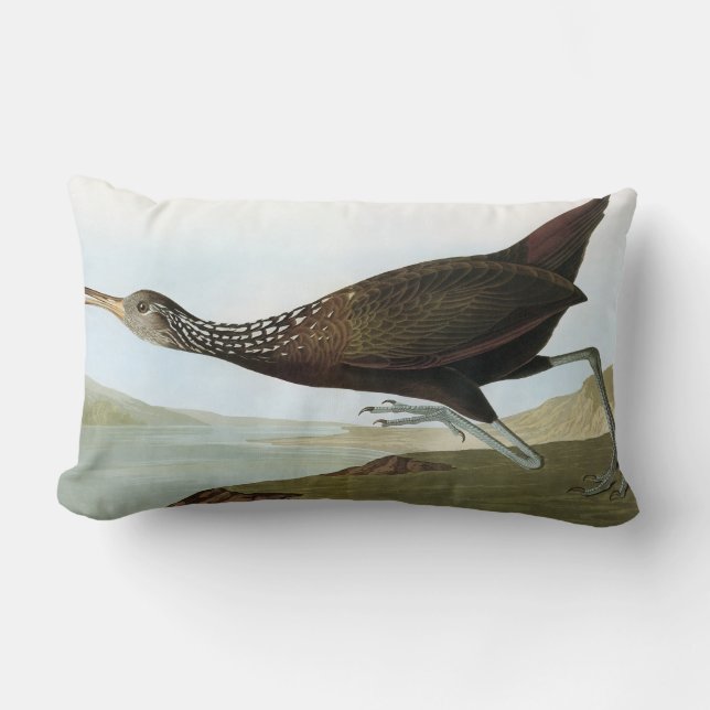 Coussin Rectangle Audubon : Limpkin (Recto)