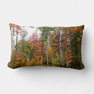 Coussin Rectangle Automne dans la forêt Colorée Photographie d'autom