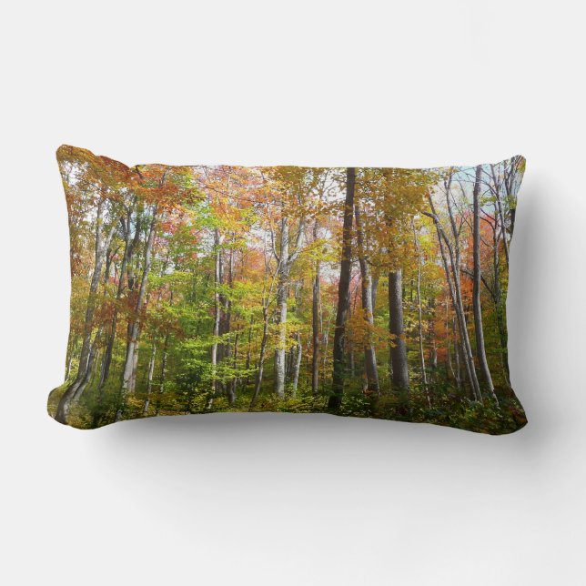 Coussin Rectangle Automne Forêt I Automne Paysage Photographie (Recto)
