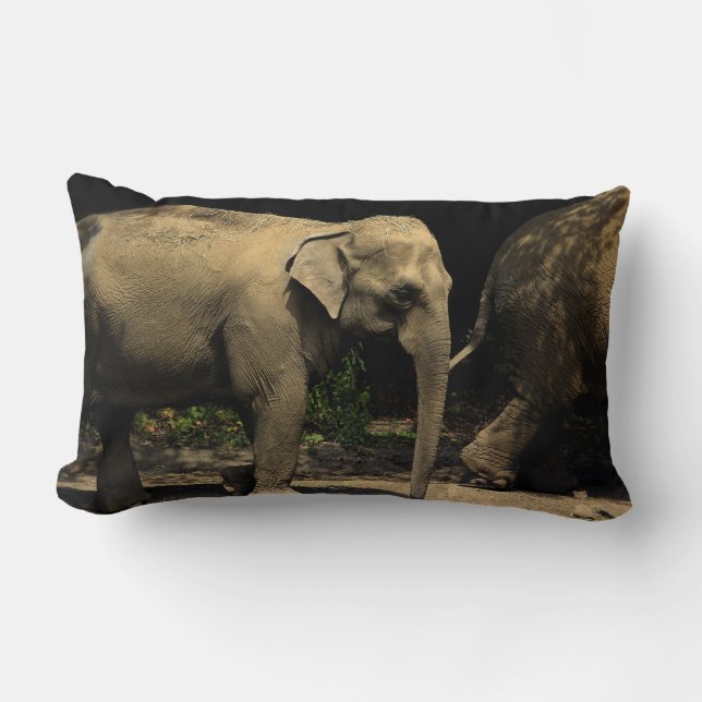 Coussin Rectangle Beau éléphant (Recto)